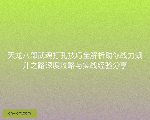 天龙八部武魂打孔技巧全解析助你战力飙升之路深度攻略与实战经验分享